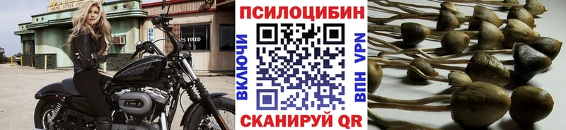 гидра вход купить наркоту Чусовой Псилоцибиновые грибы мухоморы
